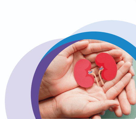 rinichi, gestionarea diabetului de tip 2, Act4Diabetes