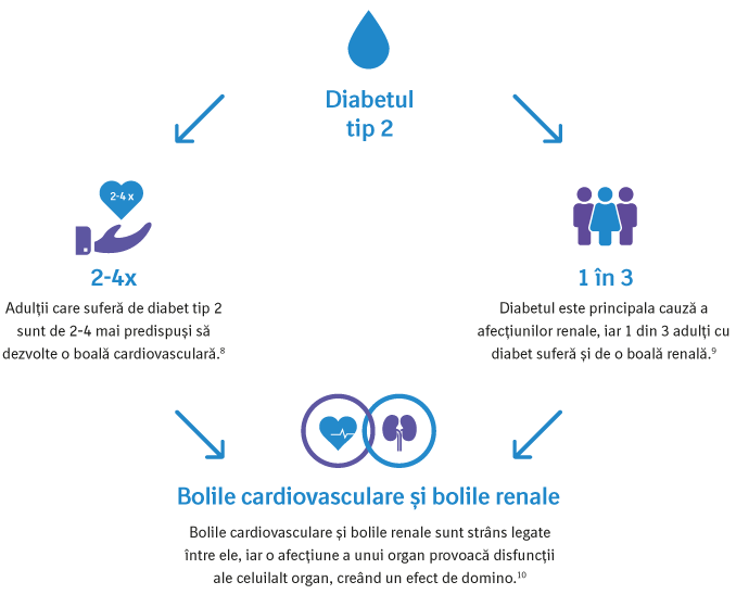 O ilustrare a statisticilor care evidențiază interconectarea diabetului de tip 2 cu bolile cardiovasculare și renale. Act4Diabetes